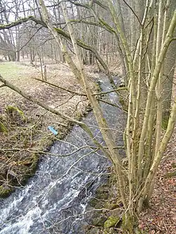 Schwarzbach u Lohsdorfu