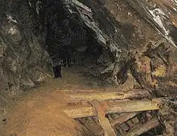 Pohled do nitra středověkého dolu Schweidrich u Šluknova