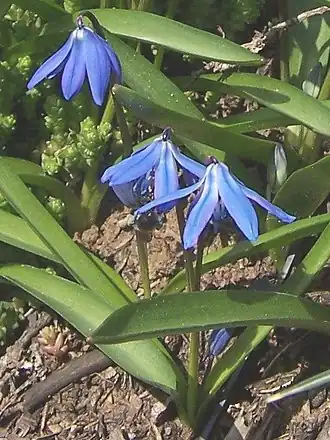 alternativní popis obrázku chybí