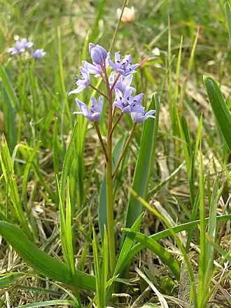 alternativní popis obrázku chybí