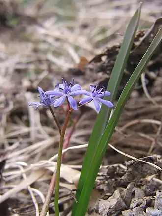alternativní popis obrázku chybí