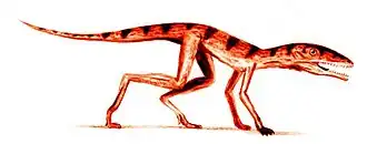 alternativní popis obrázku chybí