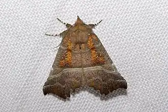 alternativní popis obrázku chybí