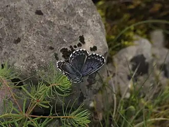 alternativní popis obrázku chybí