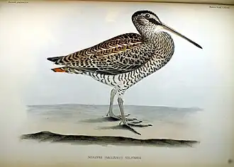 Philipp Franz von Siebold, 1842