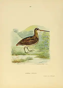 Biodiversity Heritage Library, 1847