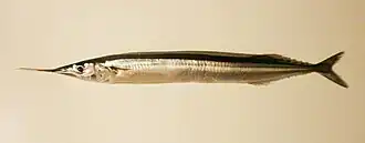 alternativní popis obrázku chybí