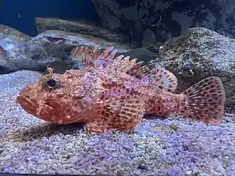 alternativní popis obrázku chybí