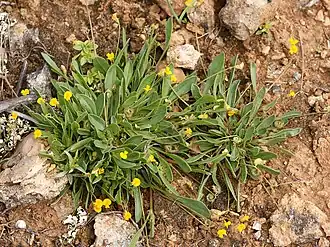 alternativní popis obrázku chybí