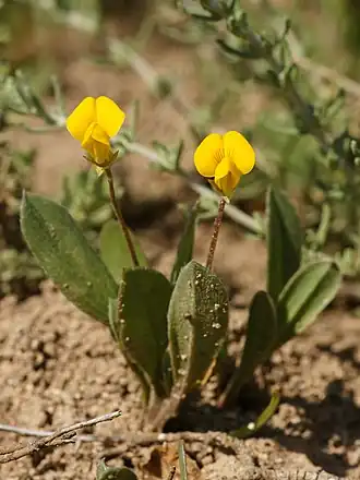 alternativní popis obrázku chybí