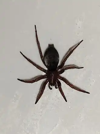 alternativní popis obrázku chybí