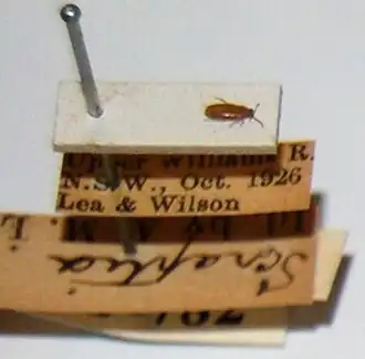 alternativní popis obrázku chybí