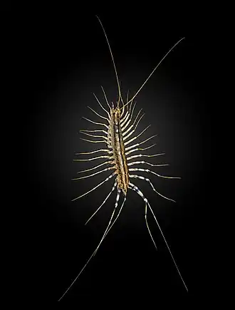 alternativní popis obrázku chybí