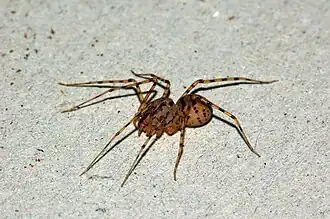 alternativní popis obrázku chybí