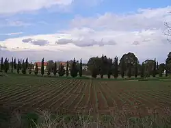 Pohled na vesnici Šdema