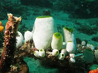 alternativní popis obrázku chybí