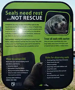 Zelená cedule s nápisem „Lachtani potřebují odpočívat, ne zachraňovat“