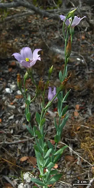 alternativní popis obrázku chybí