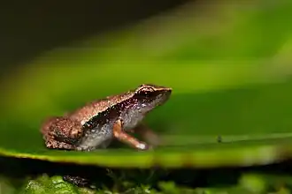 alternativní popis obrázku chybí