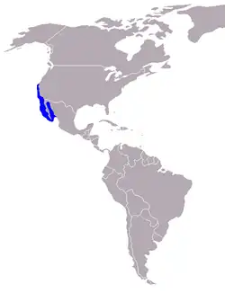 Rozšíření lachtana kalifornského.