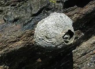 alternativní popis obrázku chybí