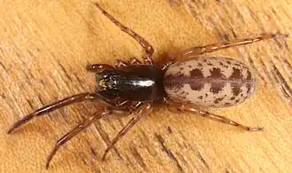 popis obrázku chybí