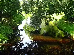 Marycha ve městě Sejny