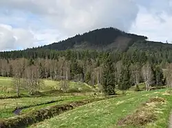 Sejpy na Hamerském potoce