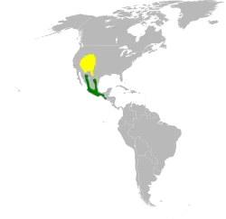 žlutá= letní výskyt, zelená = zimoviště.