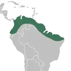 Areál rozšíření