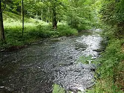 Řeka v hlubokém údolí severně od Harzgerode