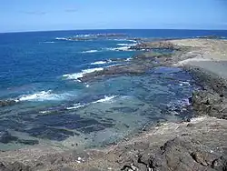 Pobřeží Selvagem Pequeny