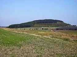 Semická hůra vyfotografovaná z Přerovské hůry