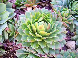 alternativní popis obrázku chybí