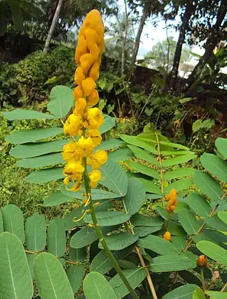 alternativní popis obrázku chybí