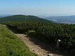 Pohled na Šerák z Keprníku