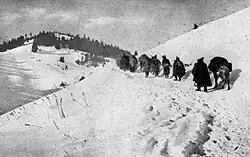 Kolona srbských vojáků vedoucích koně postupující po úbočí zasněženého kopce.