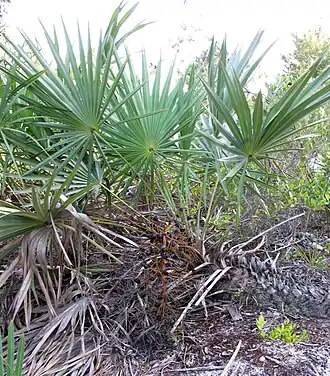 alternativní popis obrázku chybí