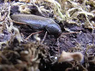 alternativní popis obrázku chybí