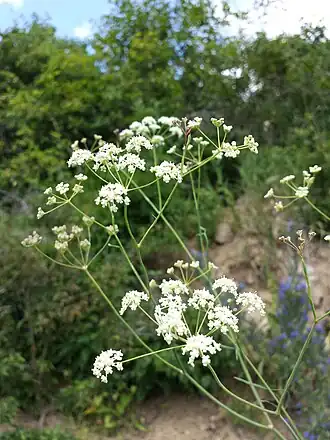 alternativní popis obrázku chybí