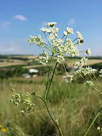 alternativní popis obrázku chybí