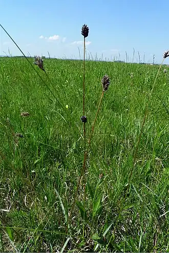 alternativní popis obrázku chybí