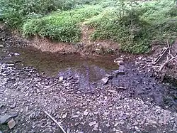 Setina nedaleko Pusté Polomi