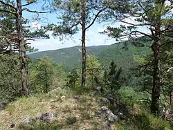 Pohled ze Ševcovej skaly na Bradlo