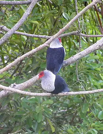 alternativní popis obrázku chybí