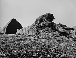 Sfinga, fotografie, 1980