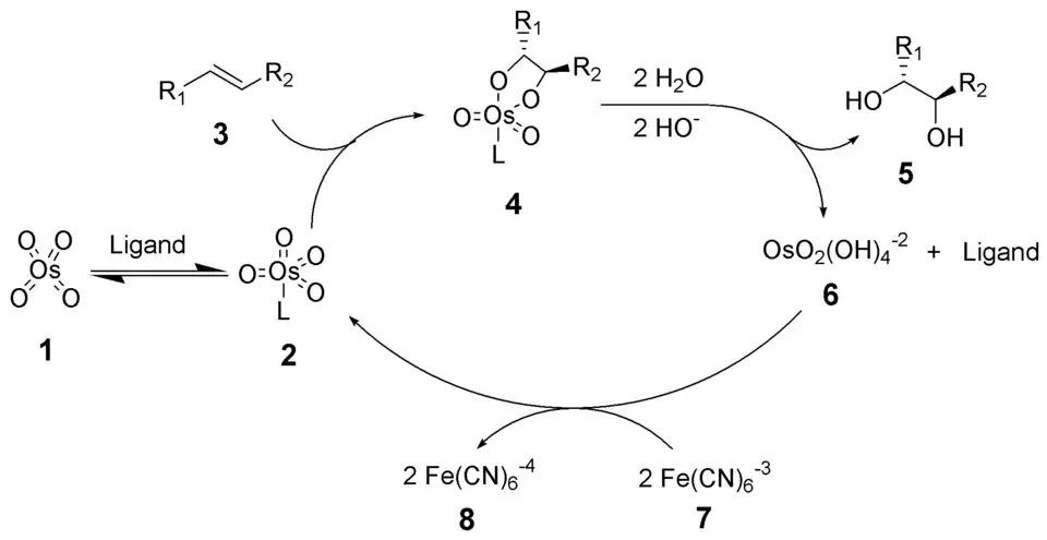 Mechanismus Sharplessovy dihydroxylace