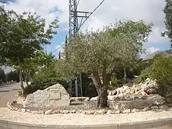 Veřejné prostranství v obci Šechanja