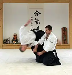 Aikido (tehnika Šihonage)