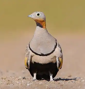 alternativní popis obrázku chybí